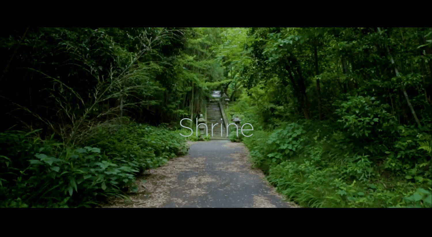 shrine-reflectionbrollchallenge