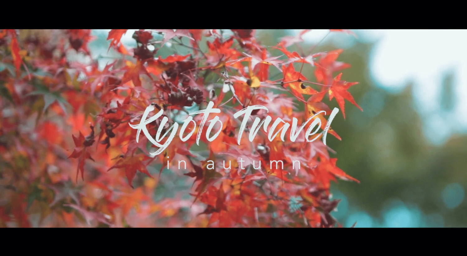 travelvideo-kyoto